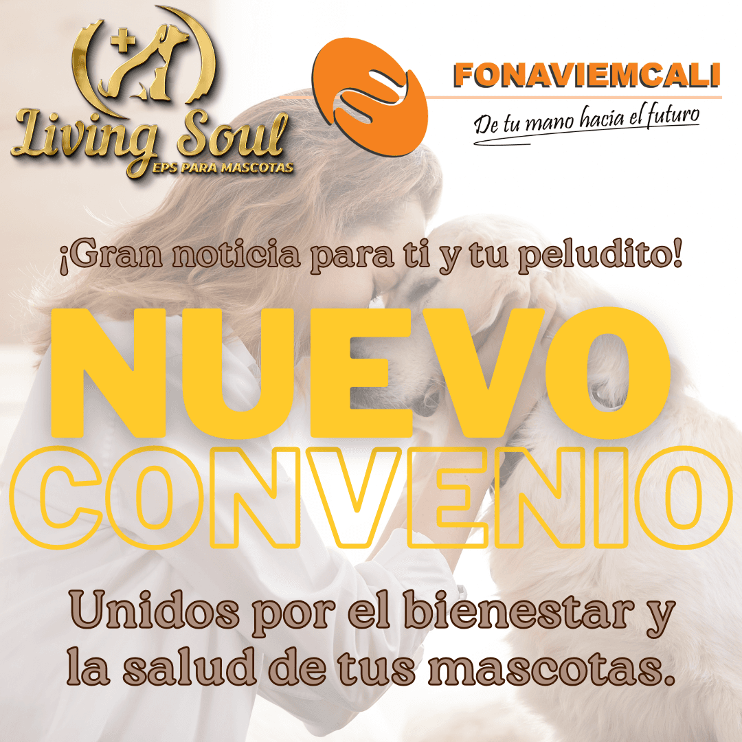 Imagen destacada de la publicación Imagen destacada de la publicación