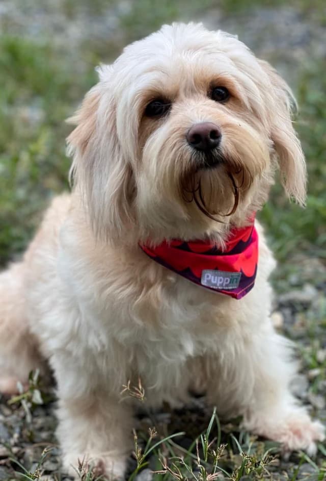 nuestra historia nuestra historia