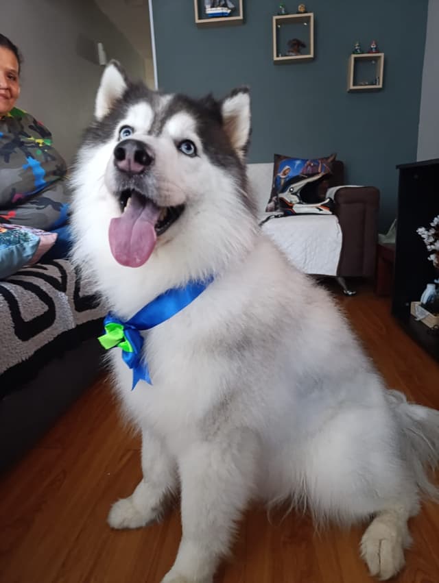 nuestra historia nuestra historia