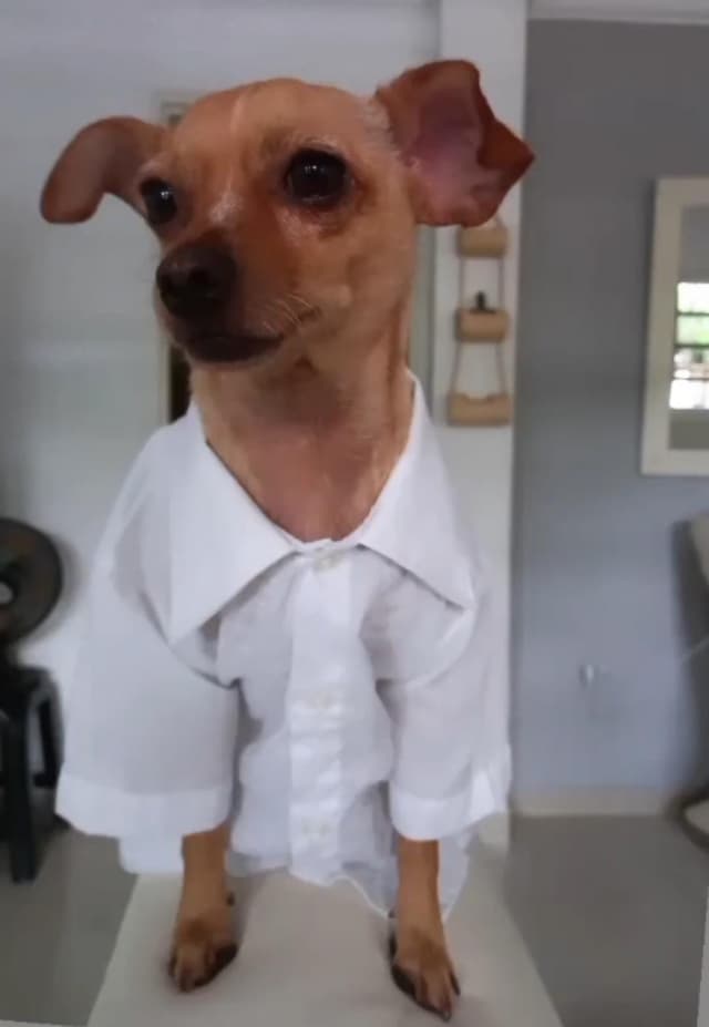 nuestra historia nuestra historia