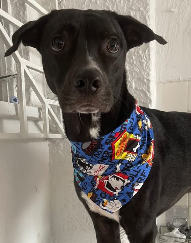 nuestra historia nuestra historia