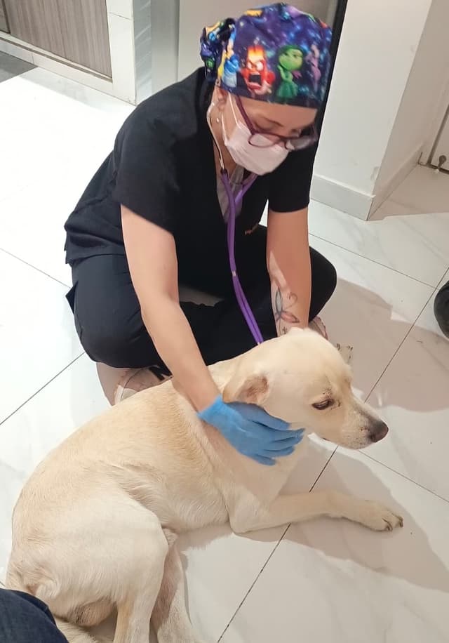 nuestra historia nuestra historia