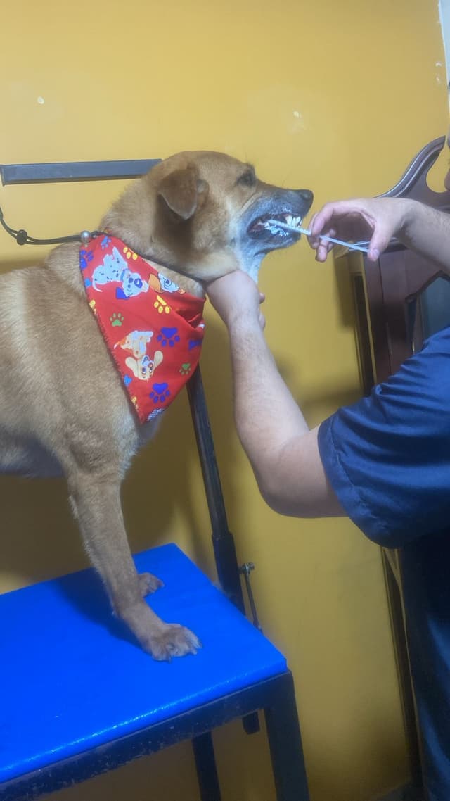 nuestra historia nuestra historia